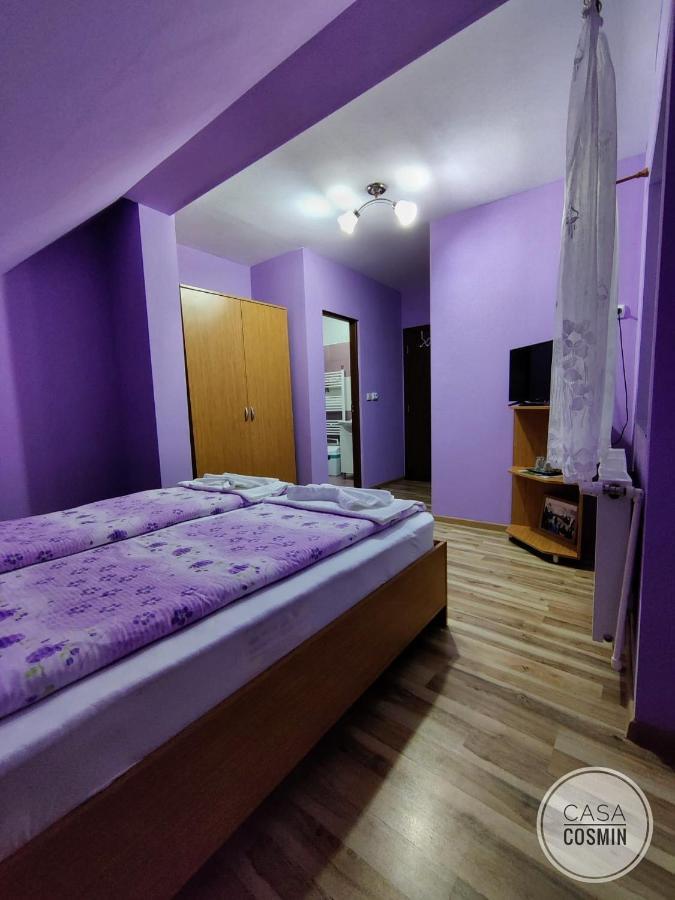 Hotel Casa Cosmin Cincu Exterior foto