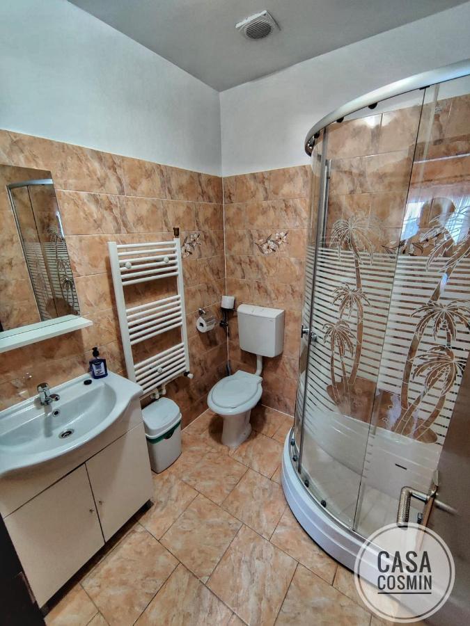 Hotel Casa Cosmin Cincu Exterior foto