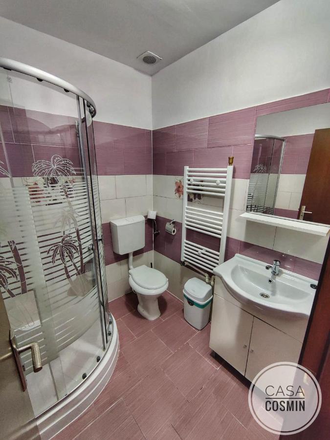 Hotel Casa Cosmin Cincu Exterior foto