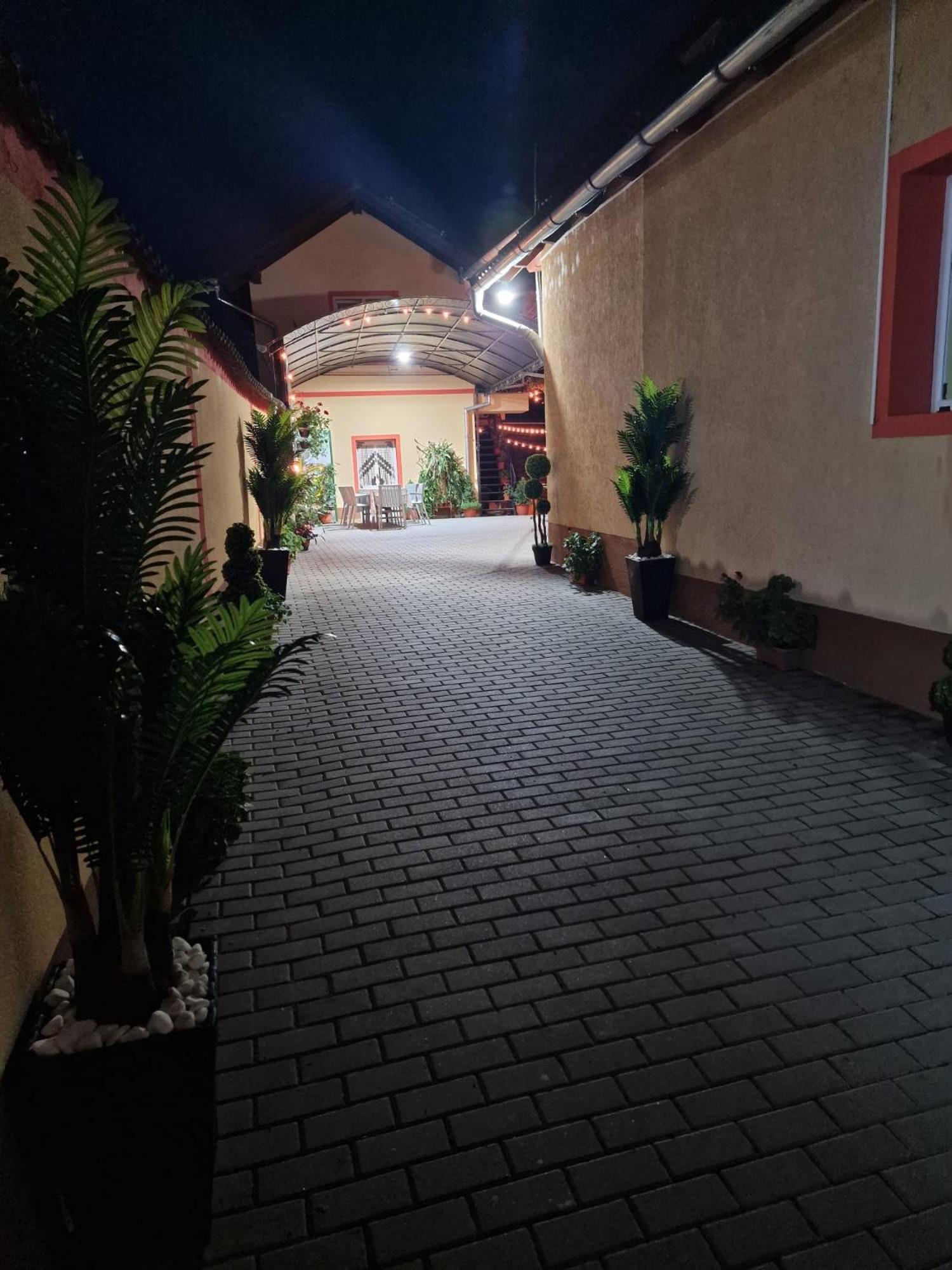 Hotel Casa Cosmin Cincu Exterior foto